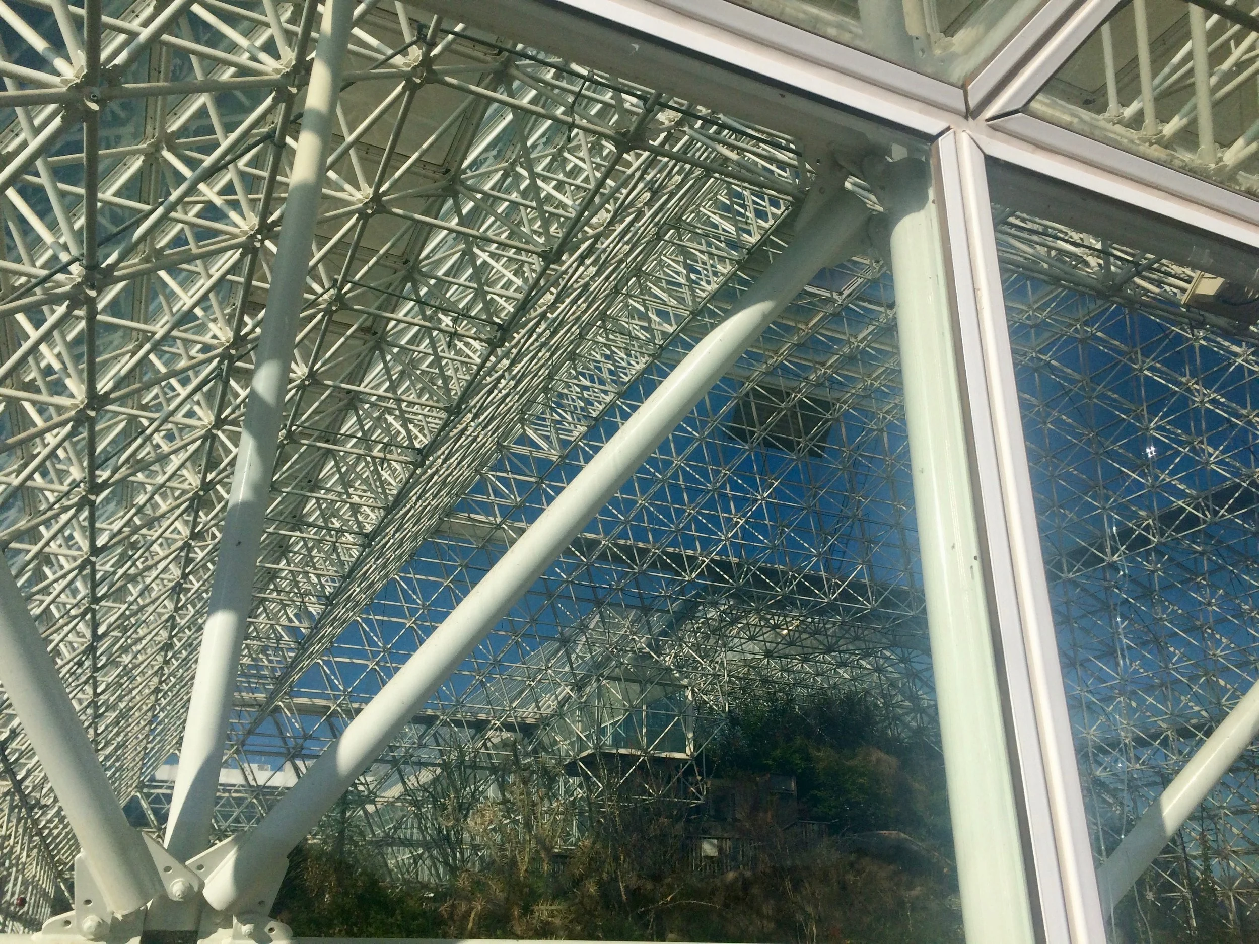 The desert biome seen through intersecting glass-and-steel supports.