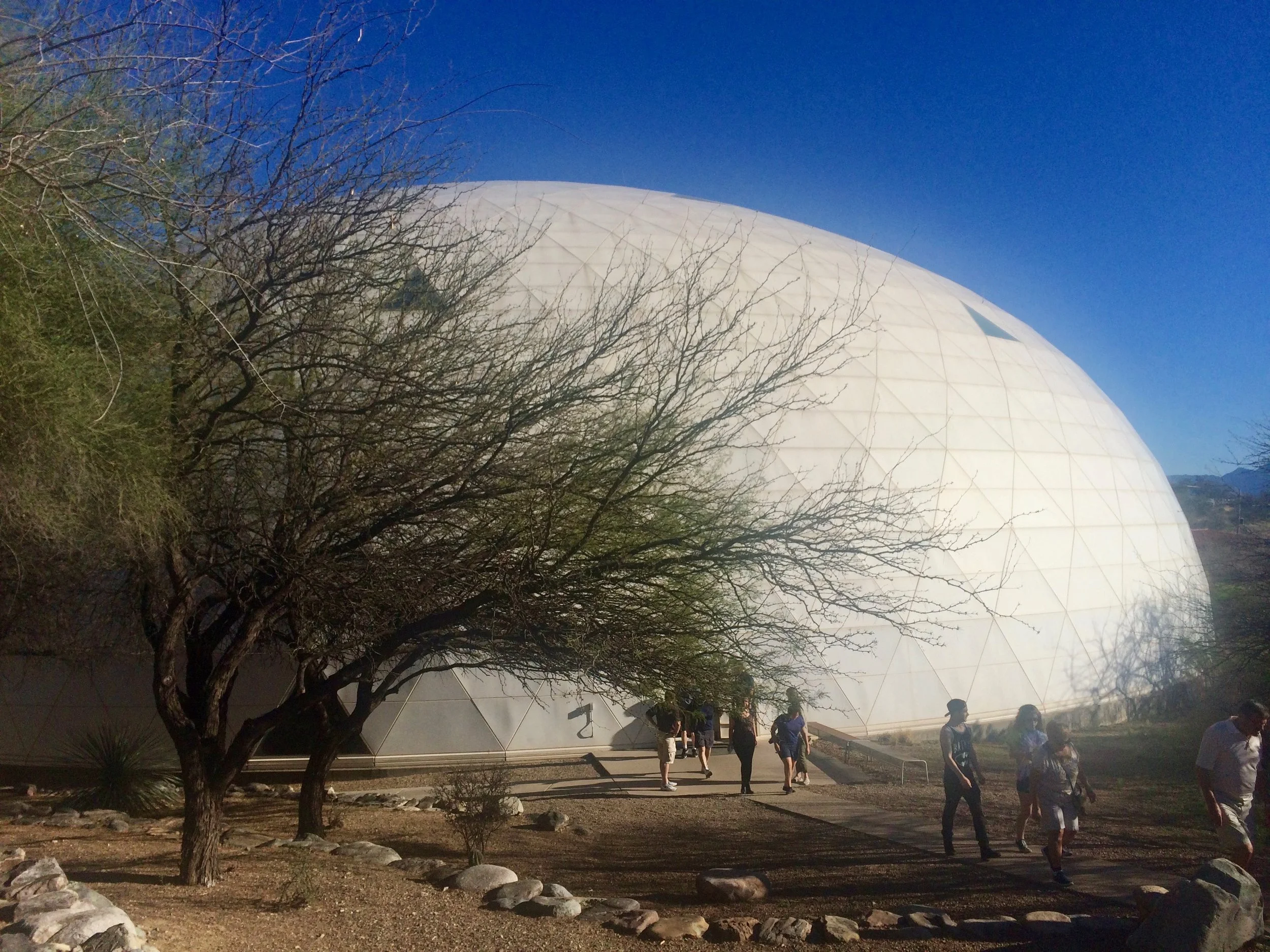 The white geodesic dome enclosing one of Biosphere 2’s pressure-regulating lungs.