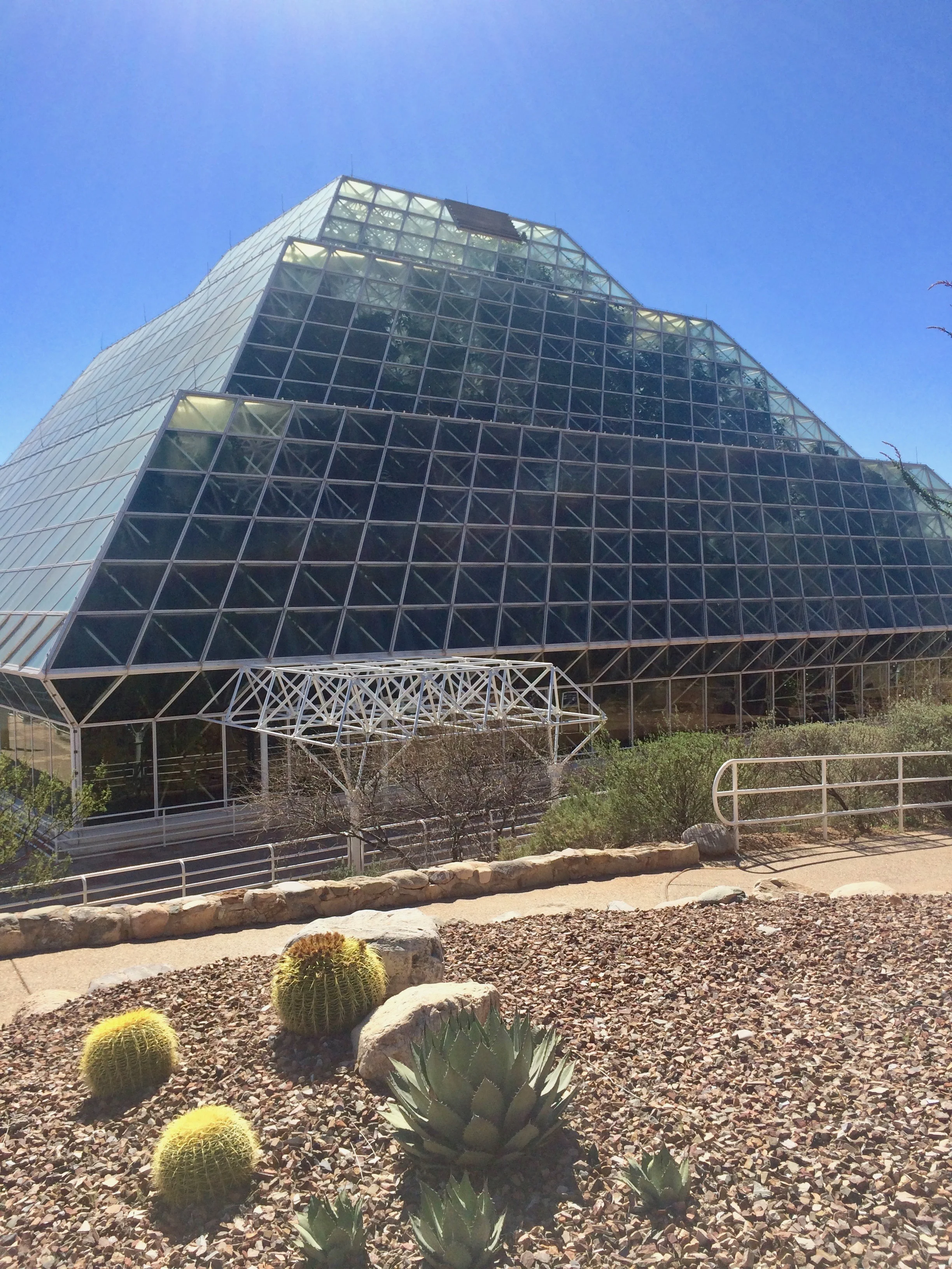 An angled view of Biosphere 2’s stepped glass greenhouse beyond a cactus garden.